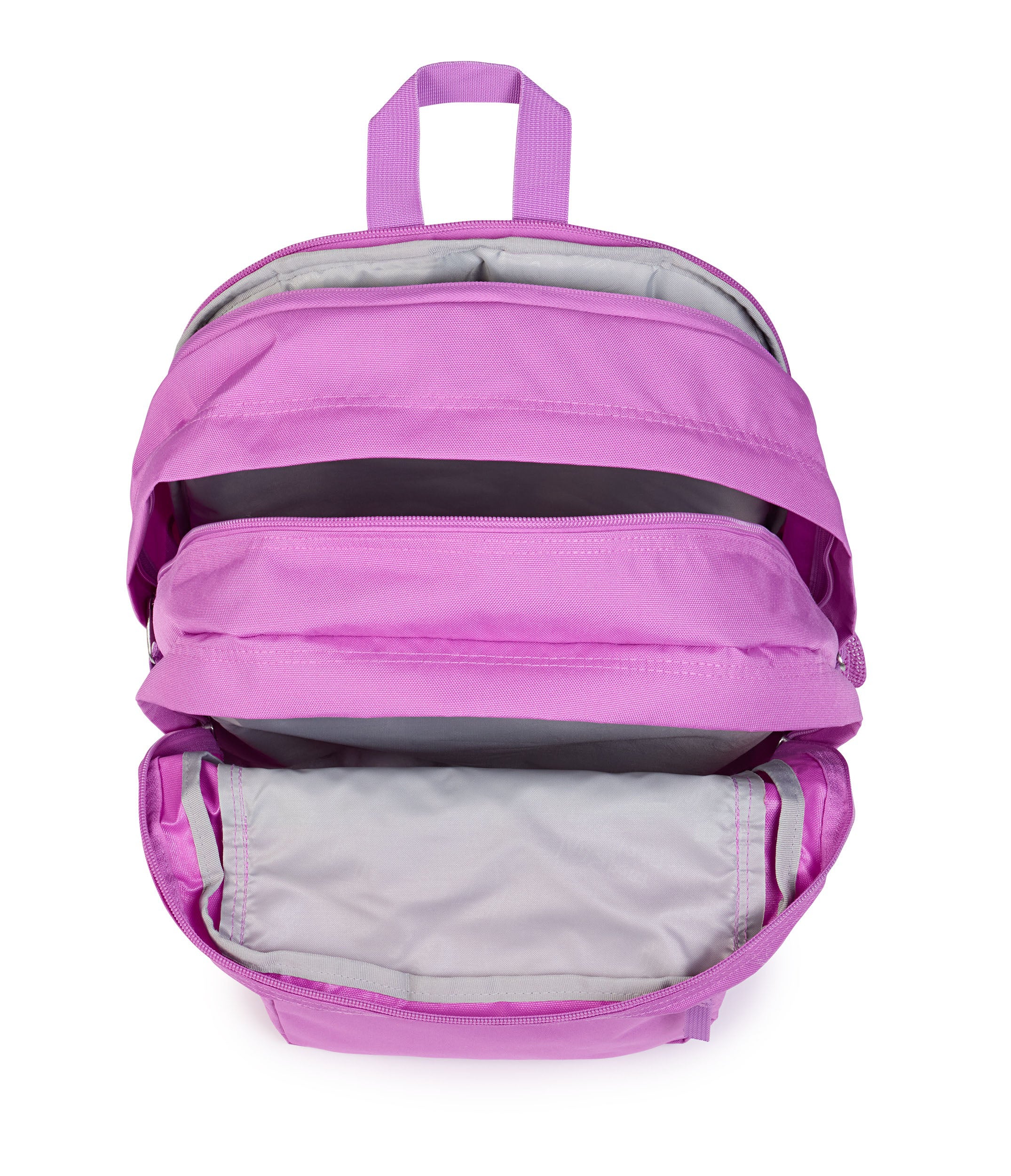 Big Student  Digital  Fuchsia