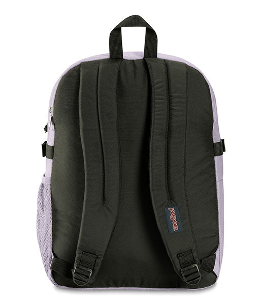 Main Campus Pastel Lilac
